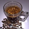 Kopi Luwak